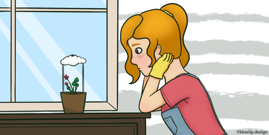 Understanding Light for Houseplants: Beyond the Confusing Terminology