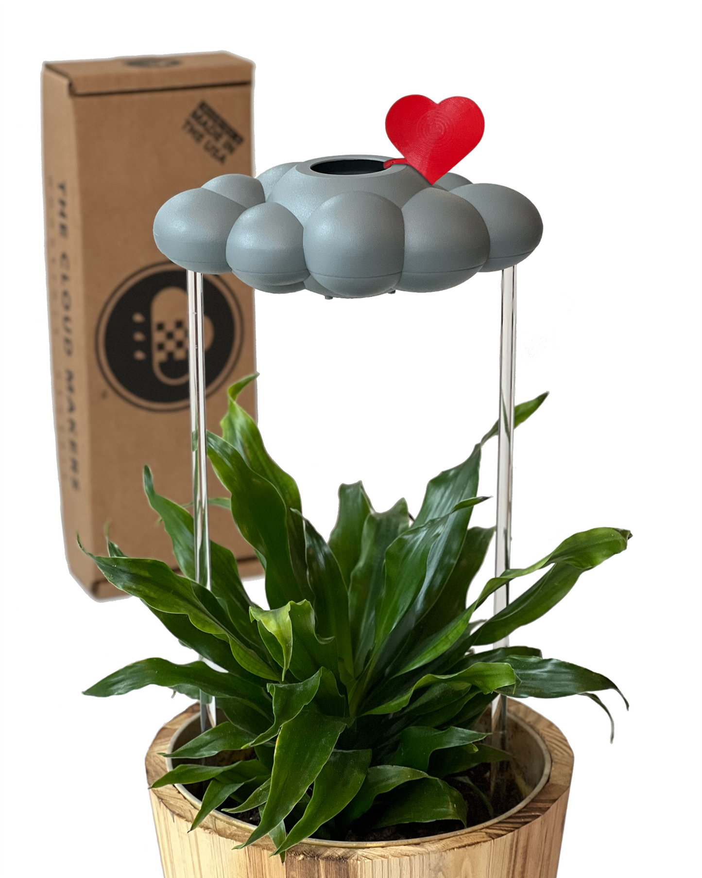 Stormy Dripping Rain Cloud with Red Heart