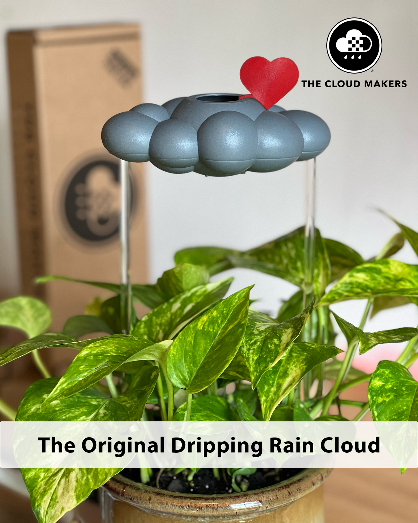 Stormy Dripping Rain Cloud with Red Heart