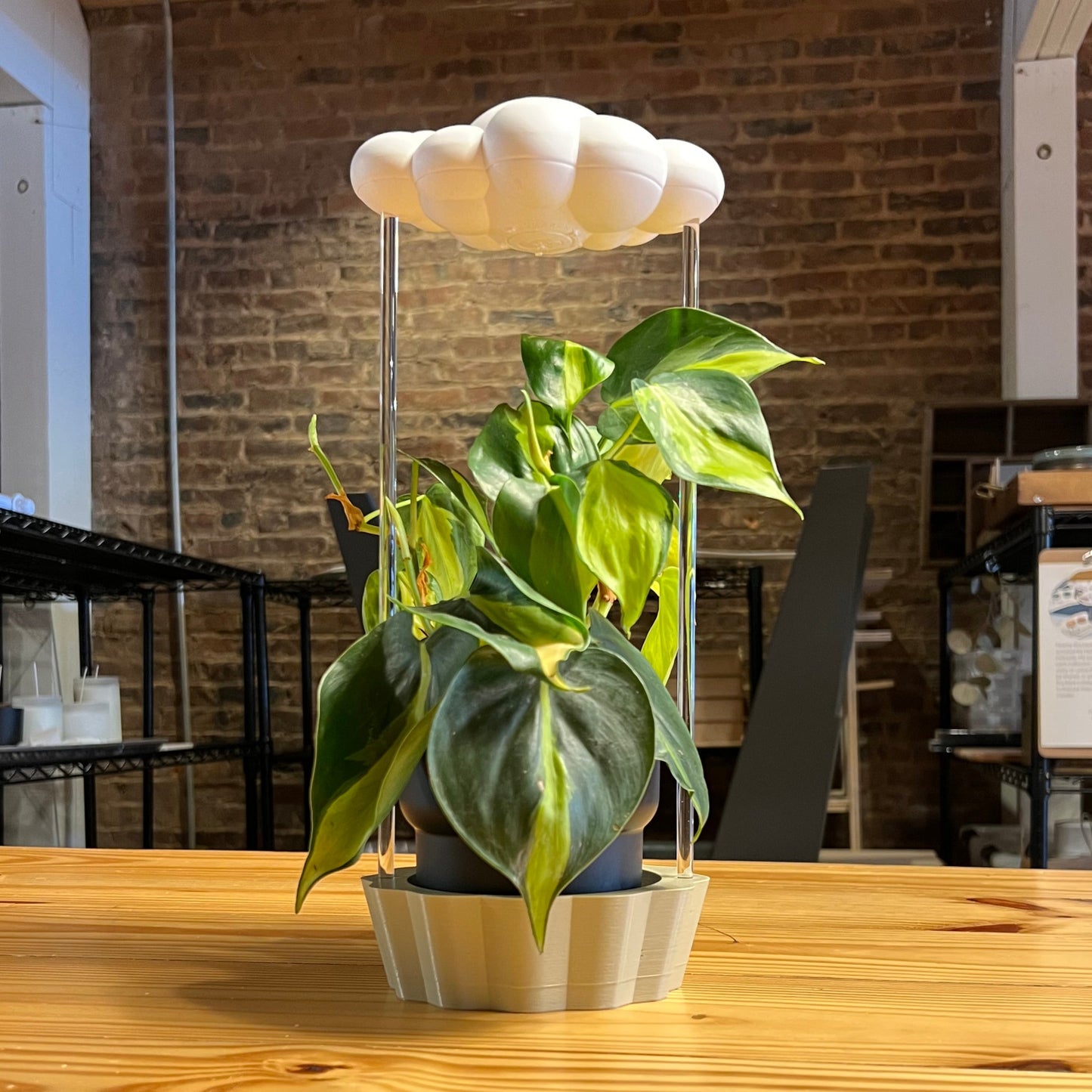 Tan Stand for THE CLOUD MAKERS dripping rain cloud