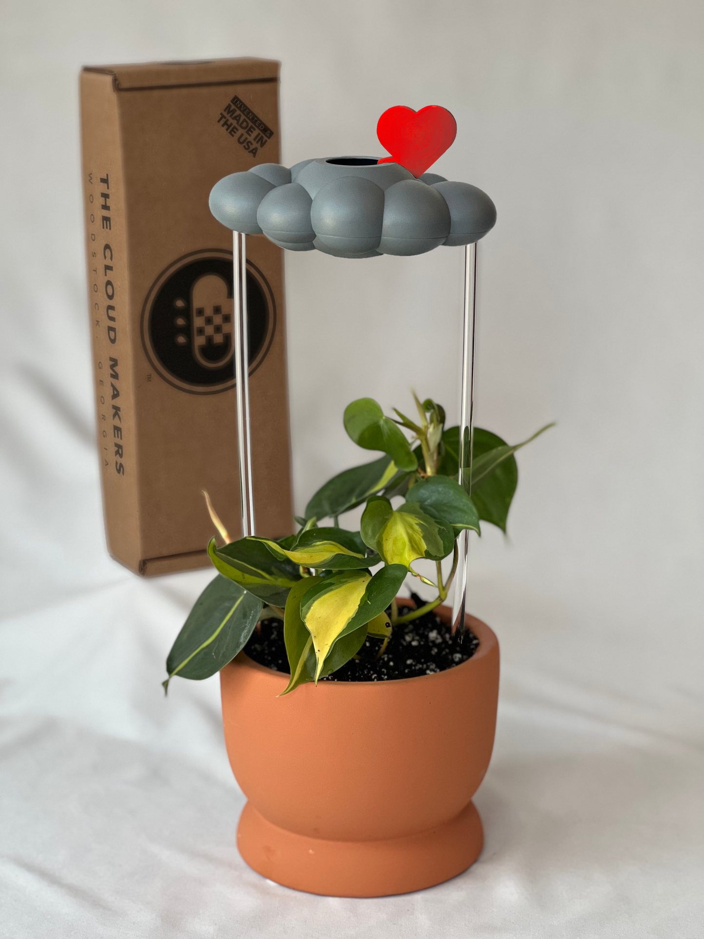 Stormy Dripping Rain Cloud with Red Heart Charm