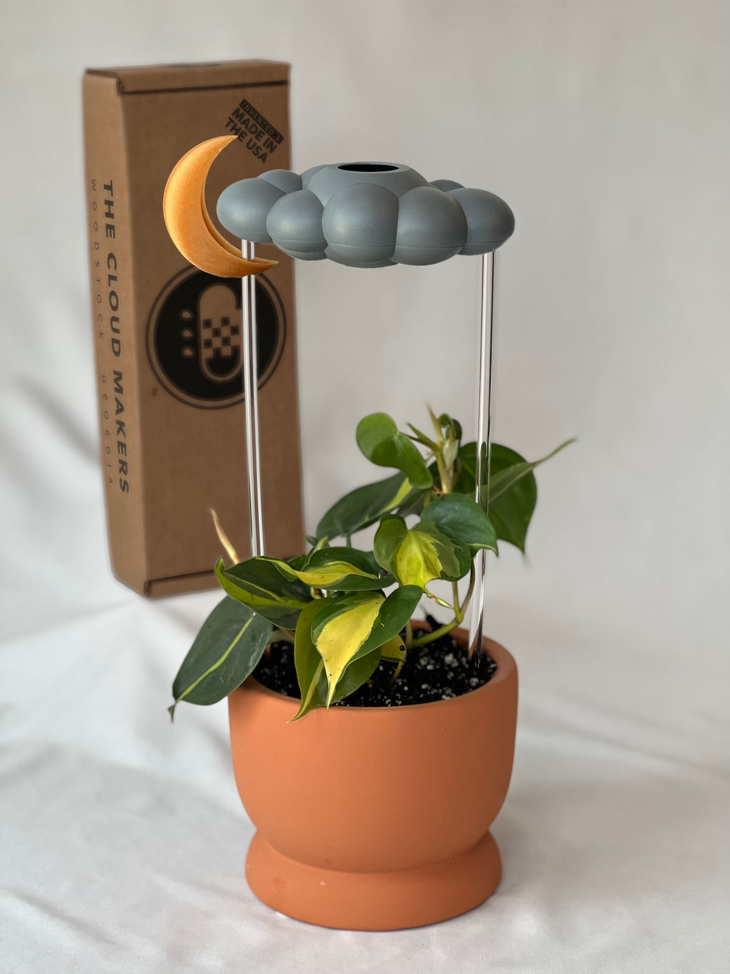 Stormy Dripping Rain Cloud with Moon Charm