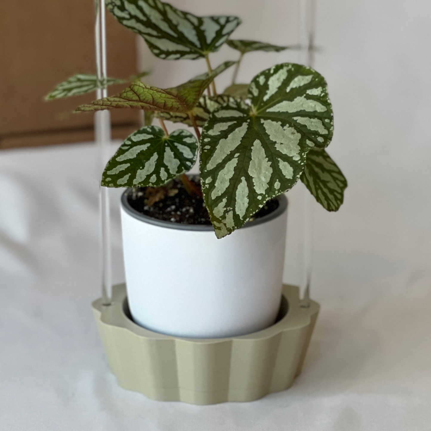 Original Dripping rain cloud by THE CLOUD MAKERS with Tan Stand