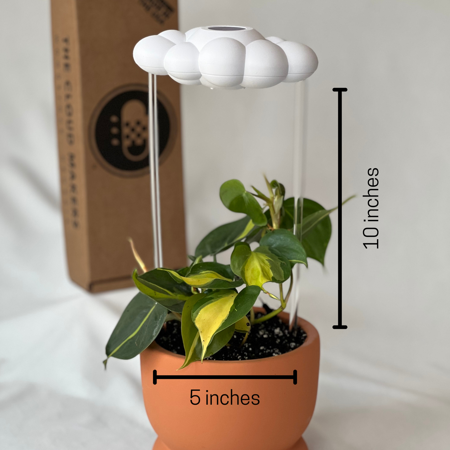 Original Dripping Rain Cloud with Bow Charm