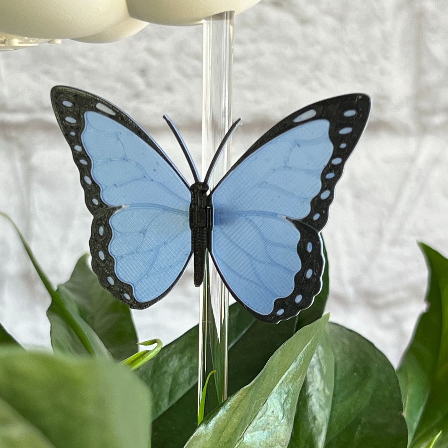 Original dripping rain cloud for plants by THE CLOUD MAKERS with Blue Butterfly charm