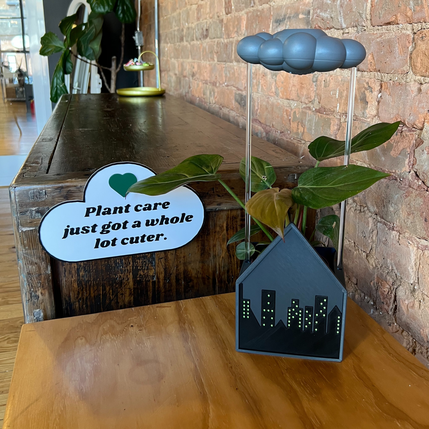 City House Planter