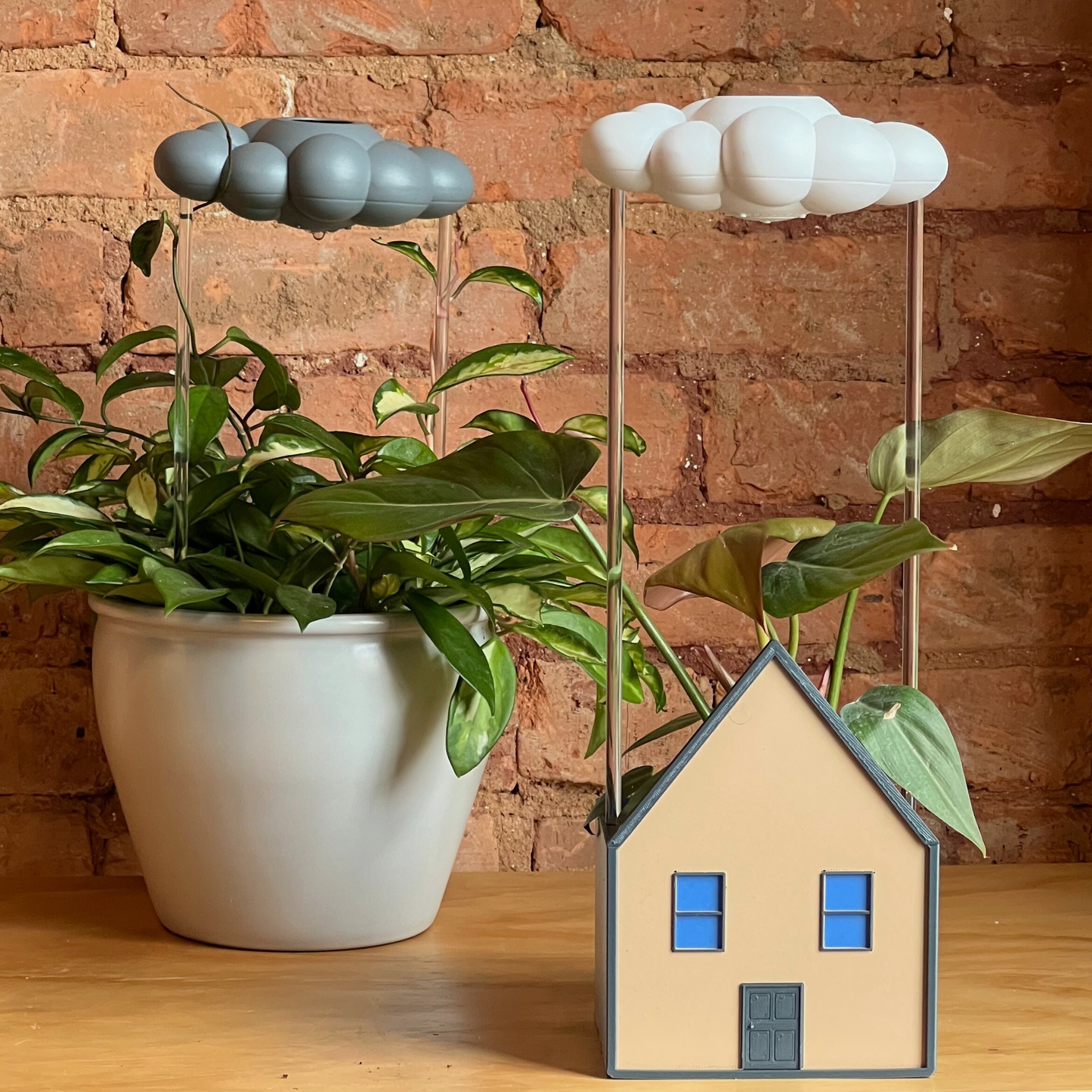 Cozy House Planter