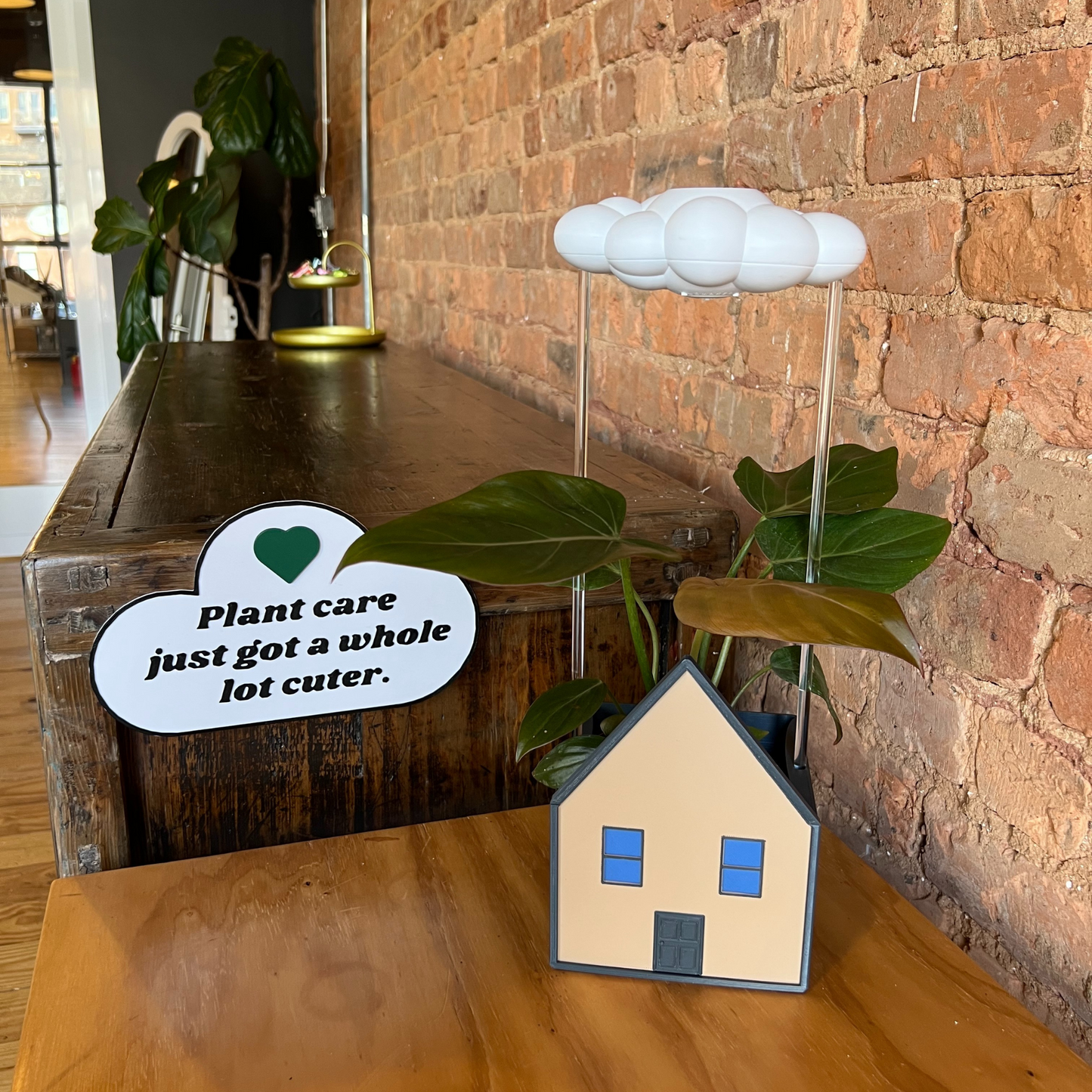 Cozy House Planter