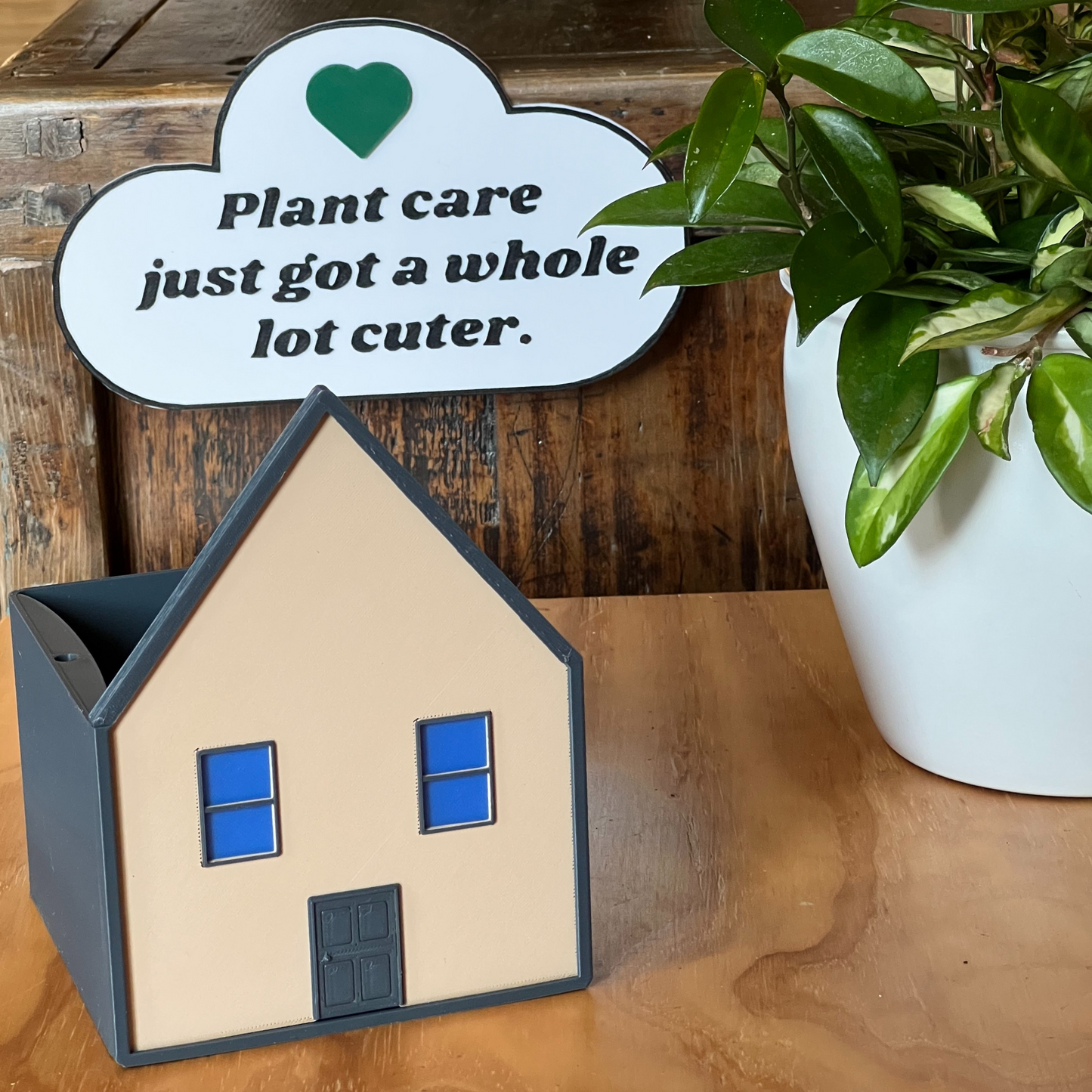 Cozy House Planter