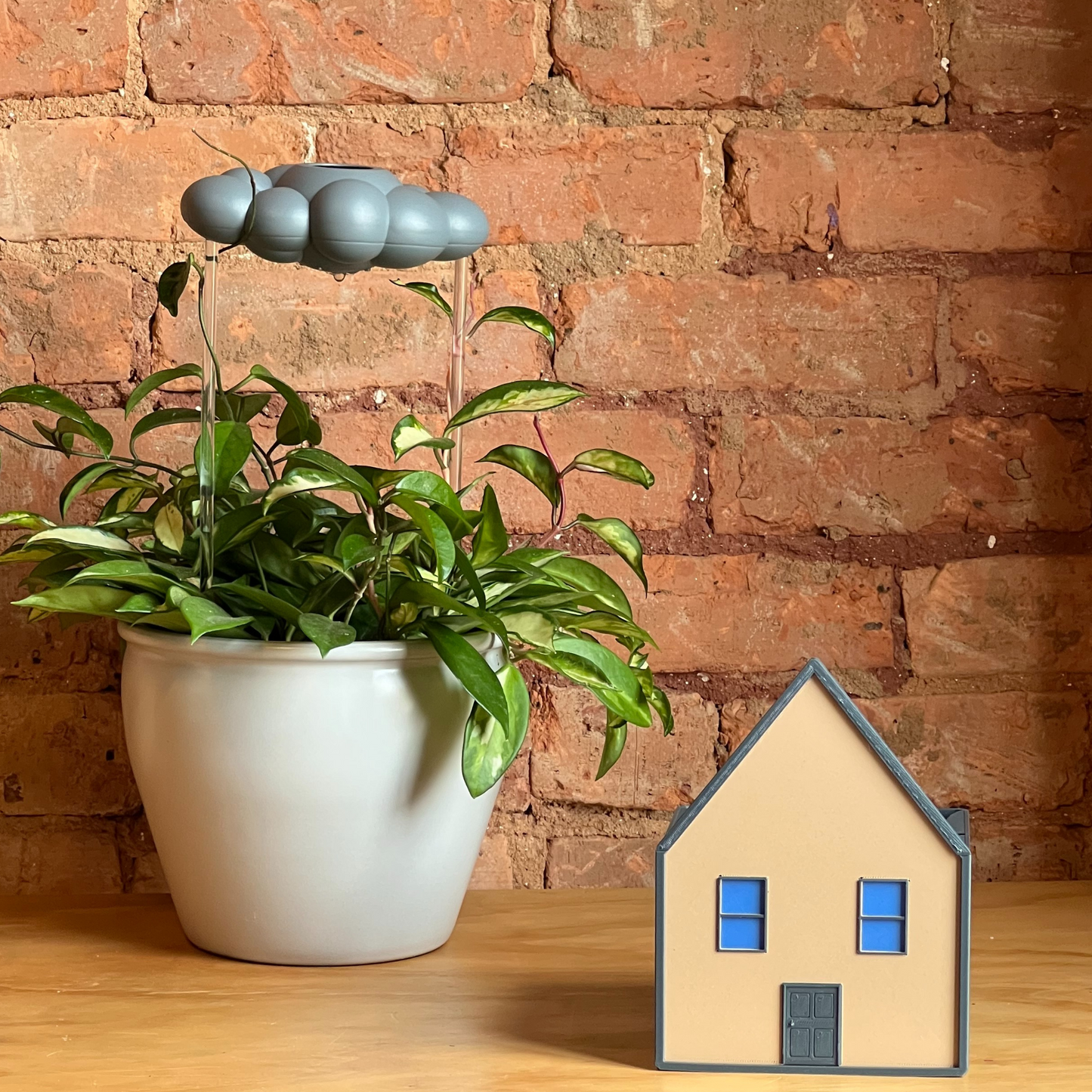 Cozy House Planter