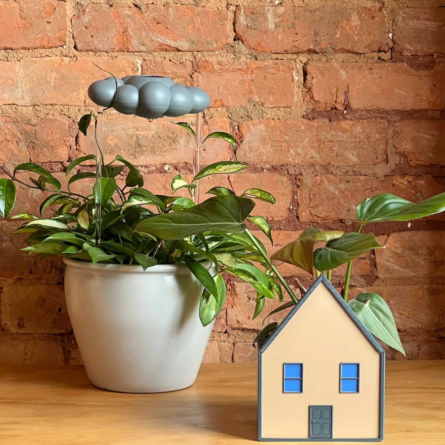 Cozy House Planter