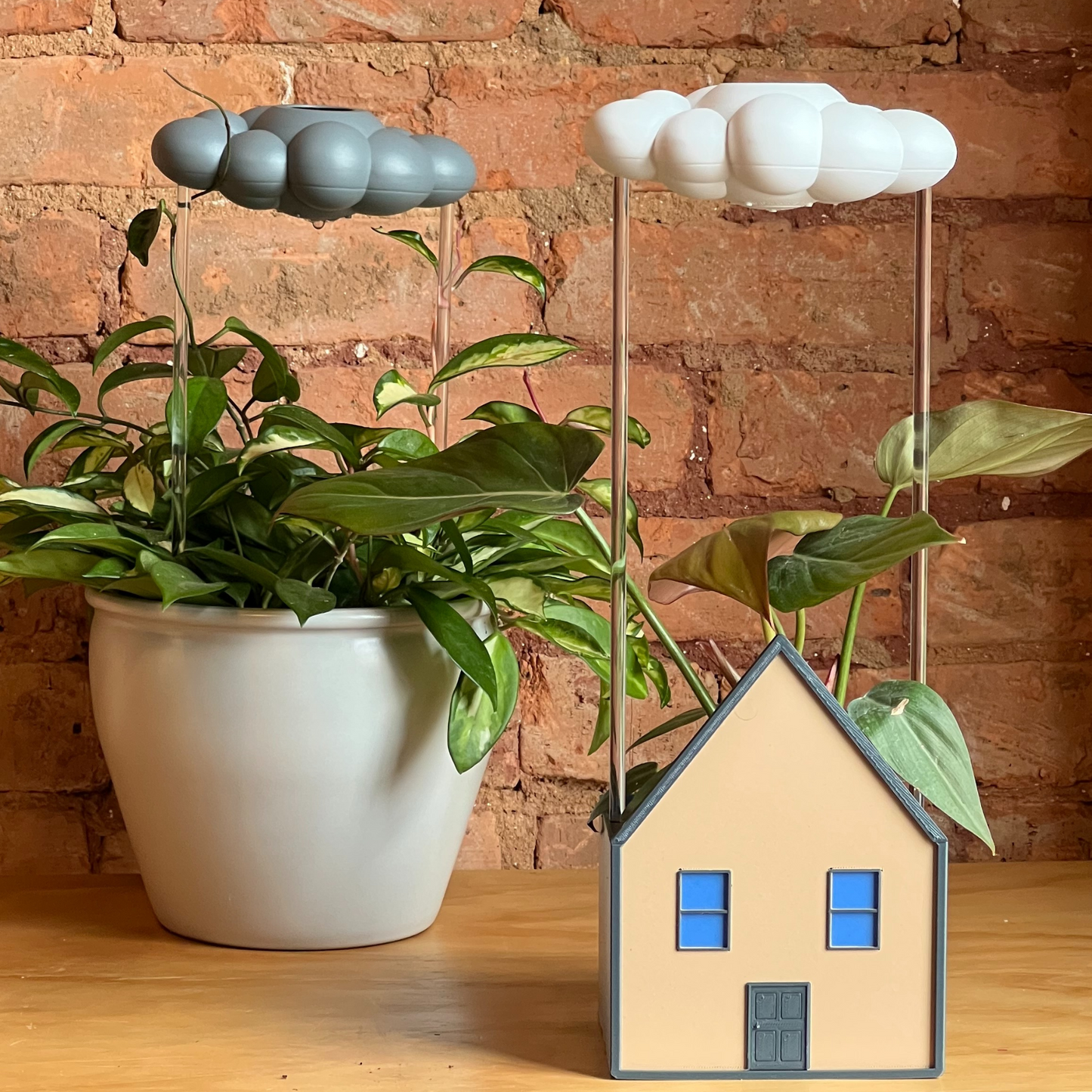 Cozy House Planter