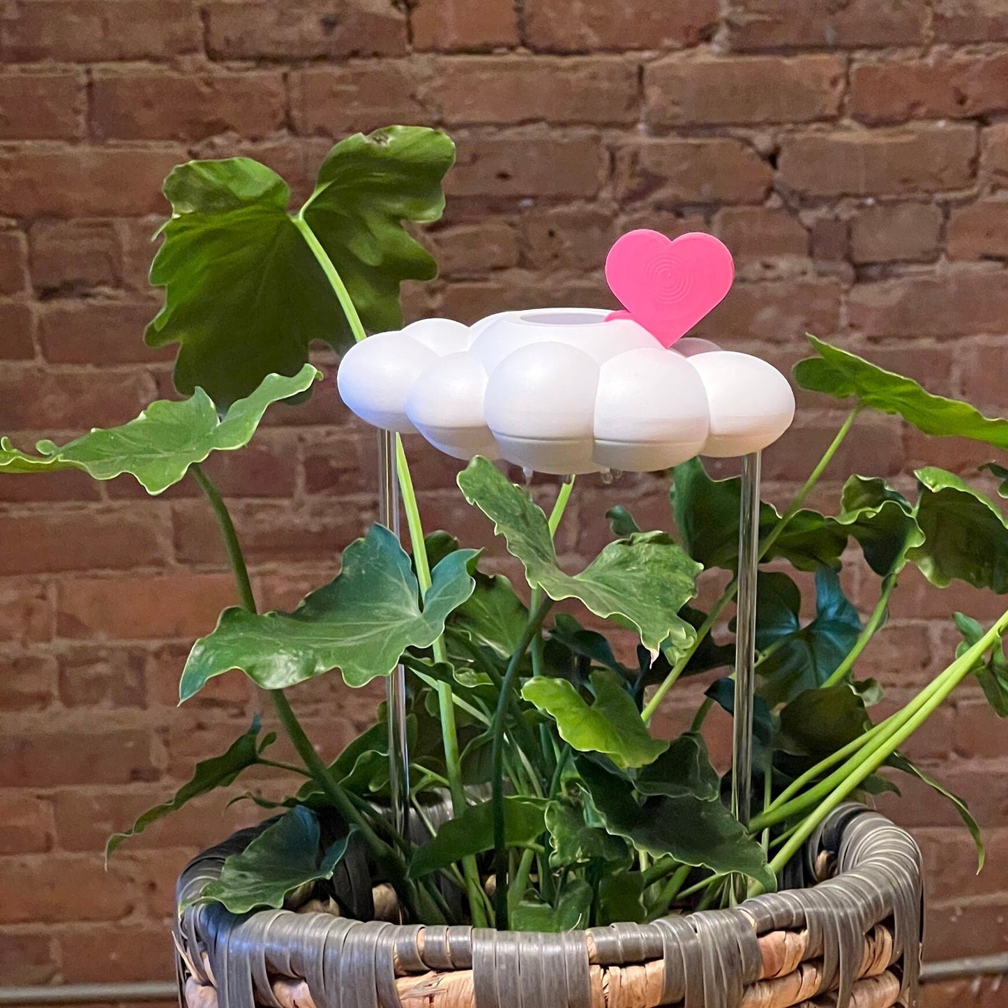 Original Dripping Rain Cloud with Pink Heart