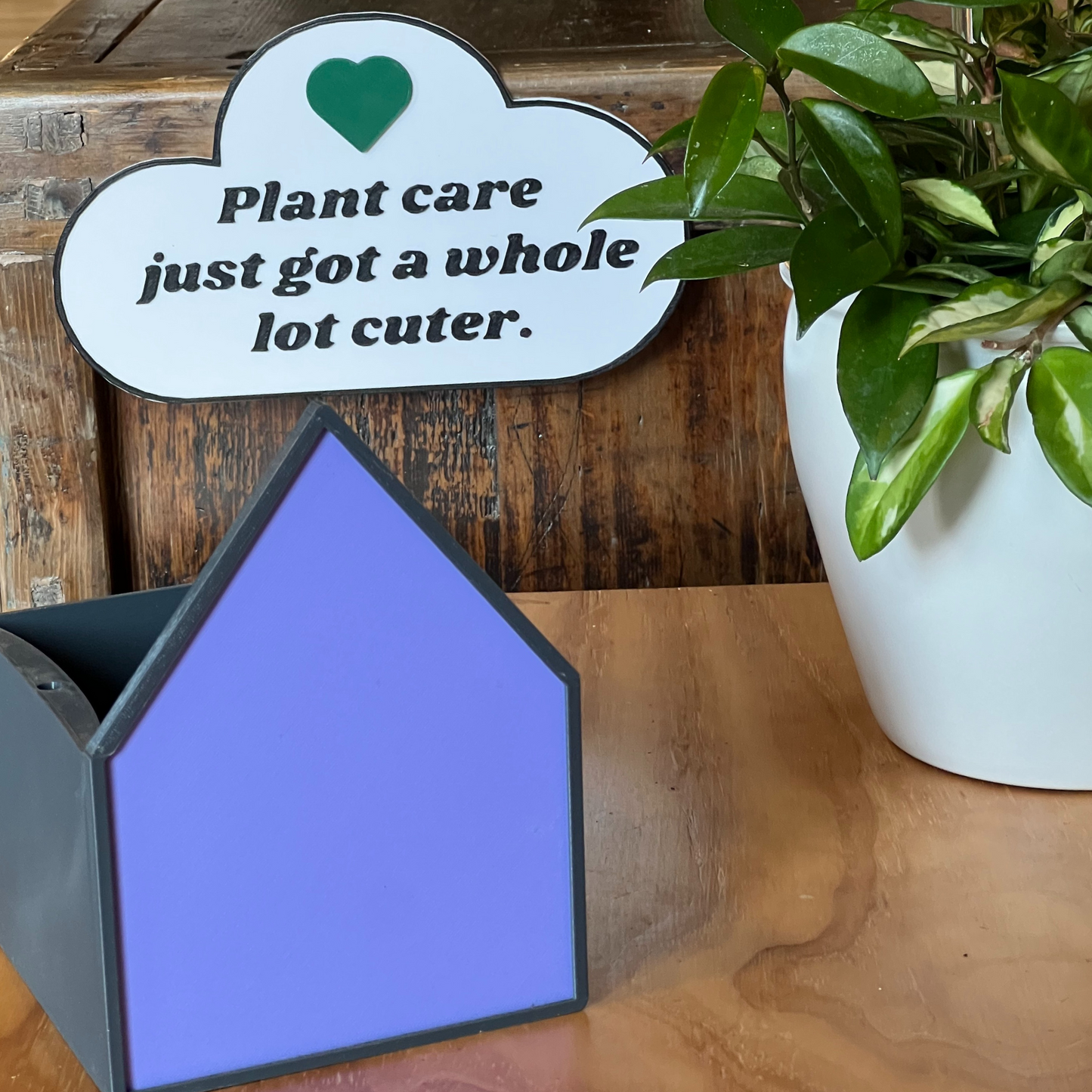 Purple House Planter
