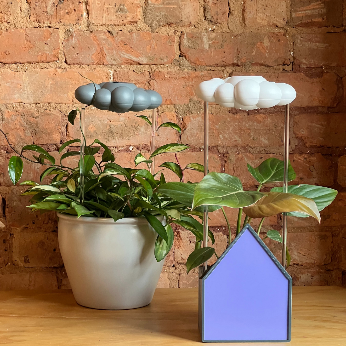 Purple House Planter