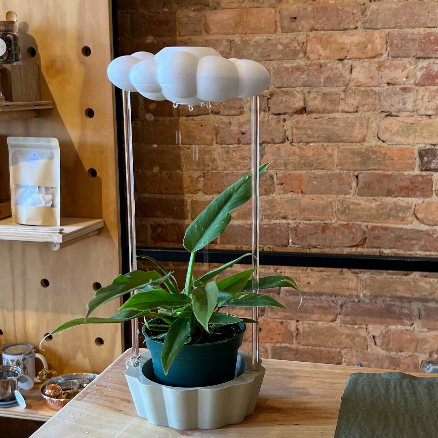 Original Dripping Rain Cloud with Tan Stand
