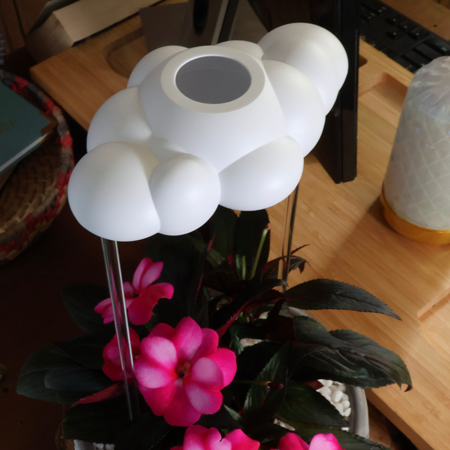 Original Dripping Rain Cloud by THE CLOUD MAKERS