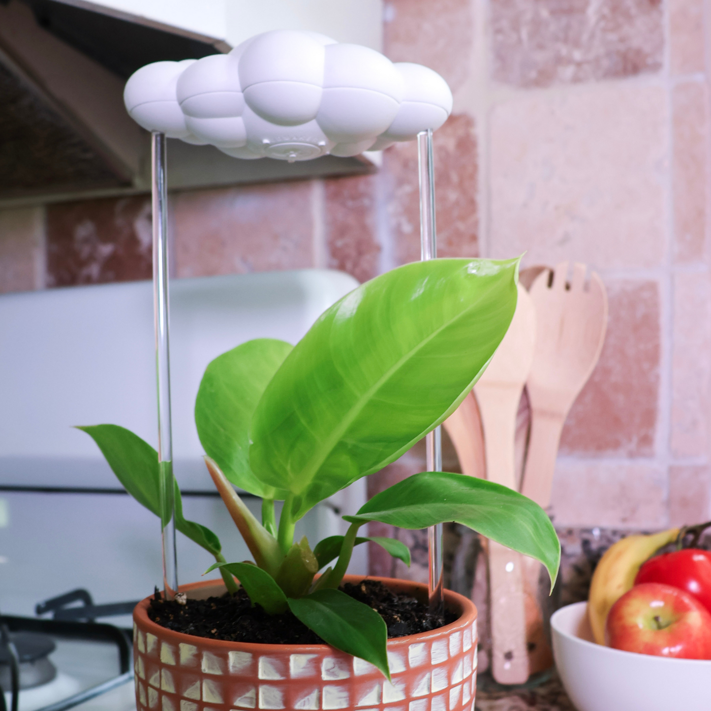 Original Dripping Rain Cloud by THE CLOUD MAKERS