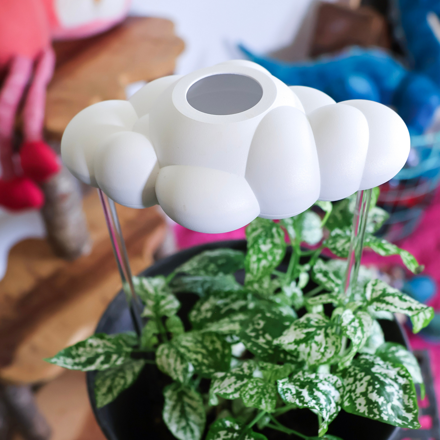Original Dripping Rain Cloud by THE CLOUD MAKERS