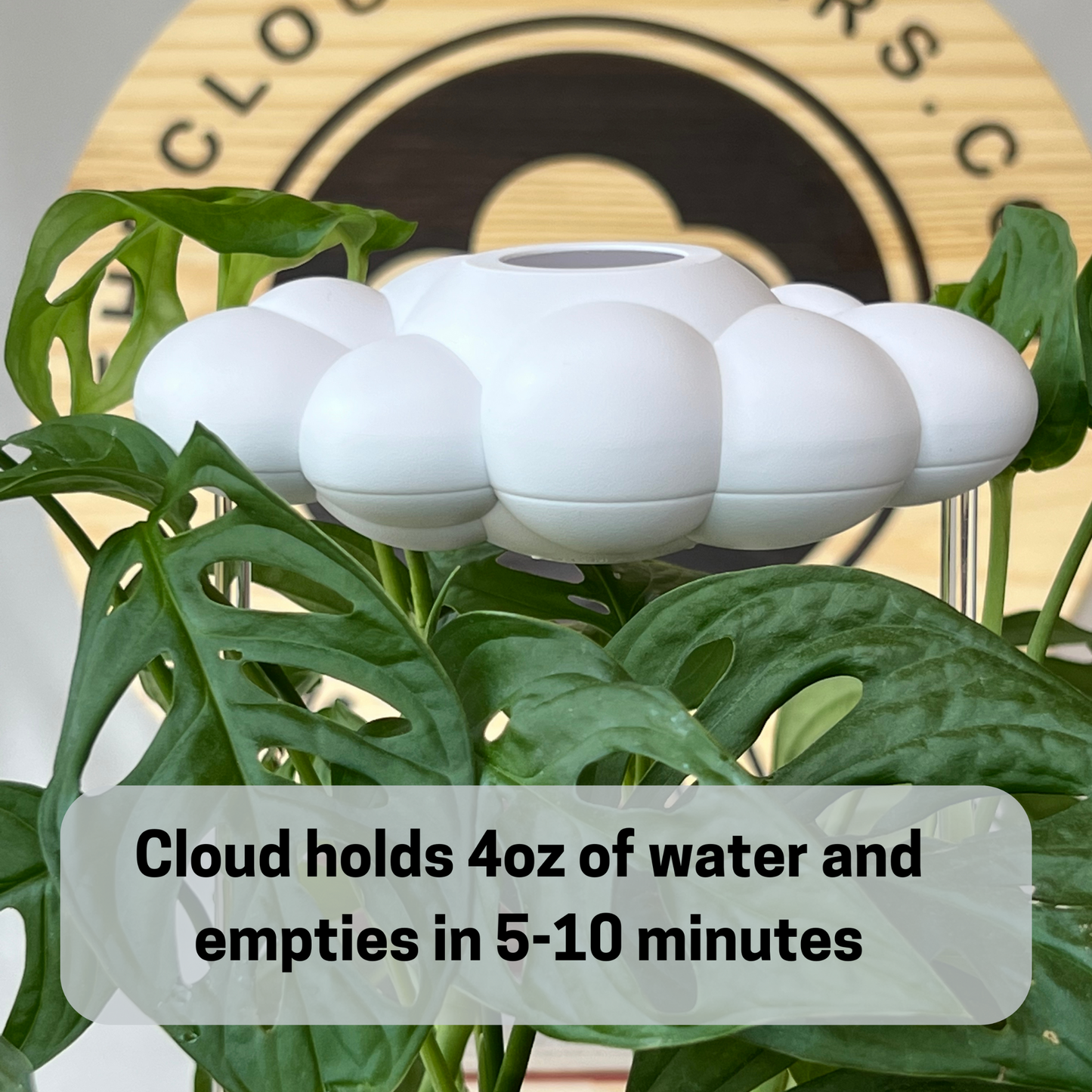 dripping rain cloud holds 4 ounces