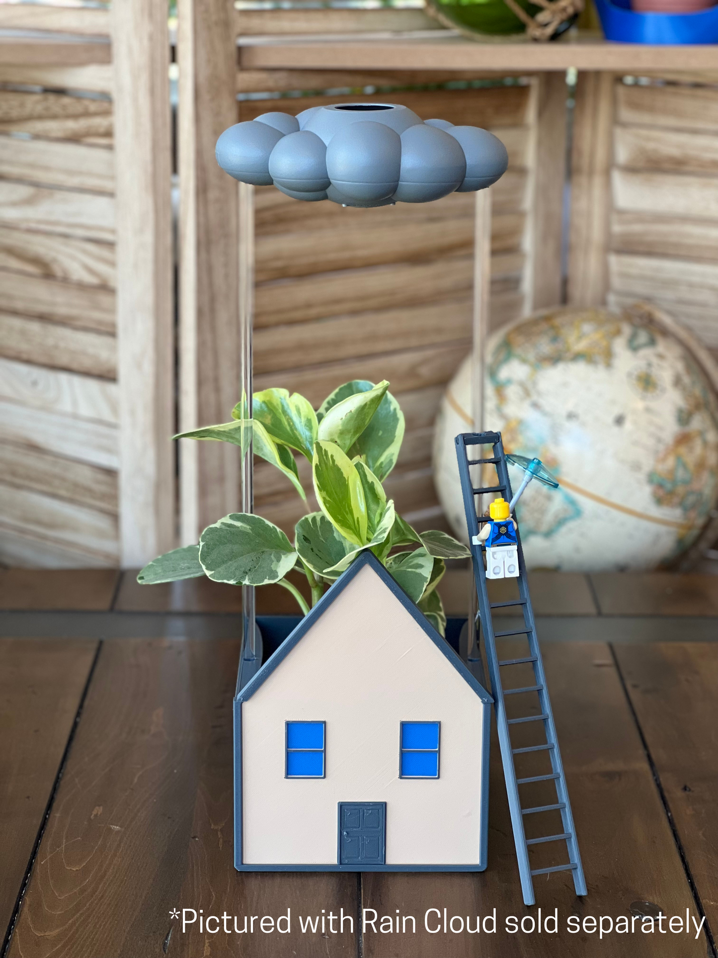 Cozy House Planter for THE CLOUD MAKERS dripping rain cloud