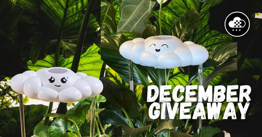 December Cloud Giveaway