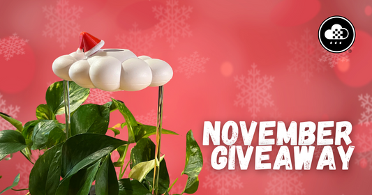 November Giveaway