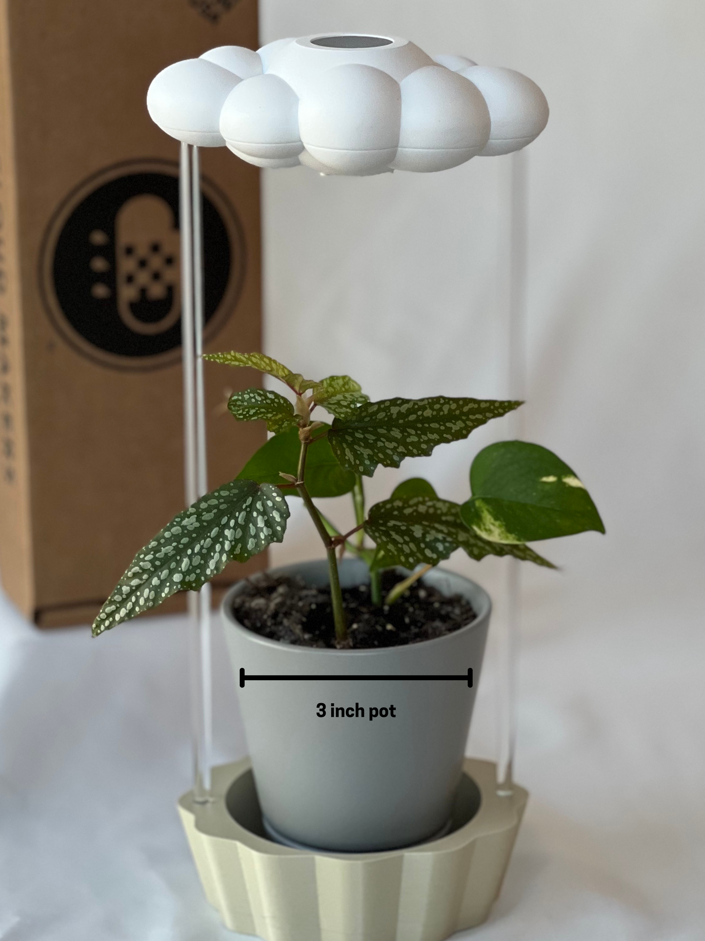 Original Dripping rain cloud by THE CLOUD MAKERS with Tan Stand
