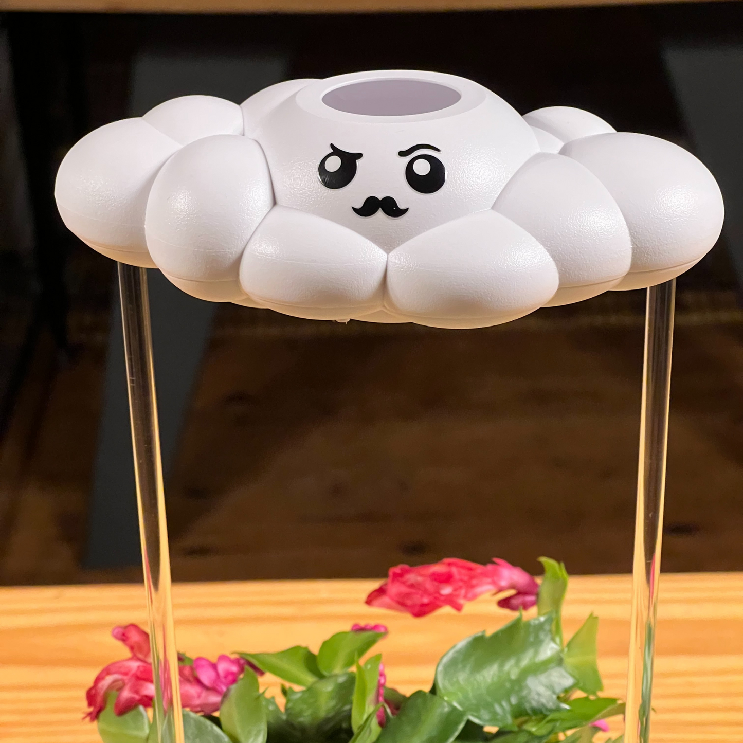 Carl the Cloud