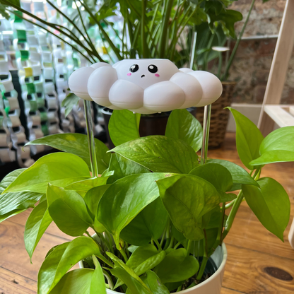 Colby The Cloud 