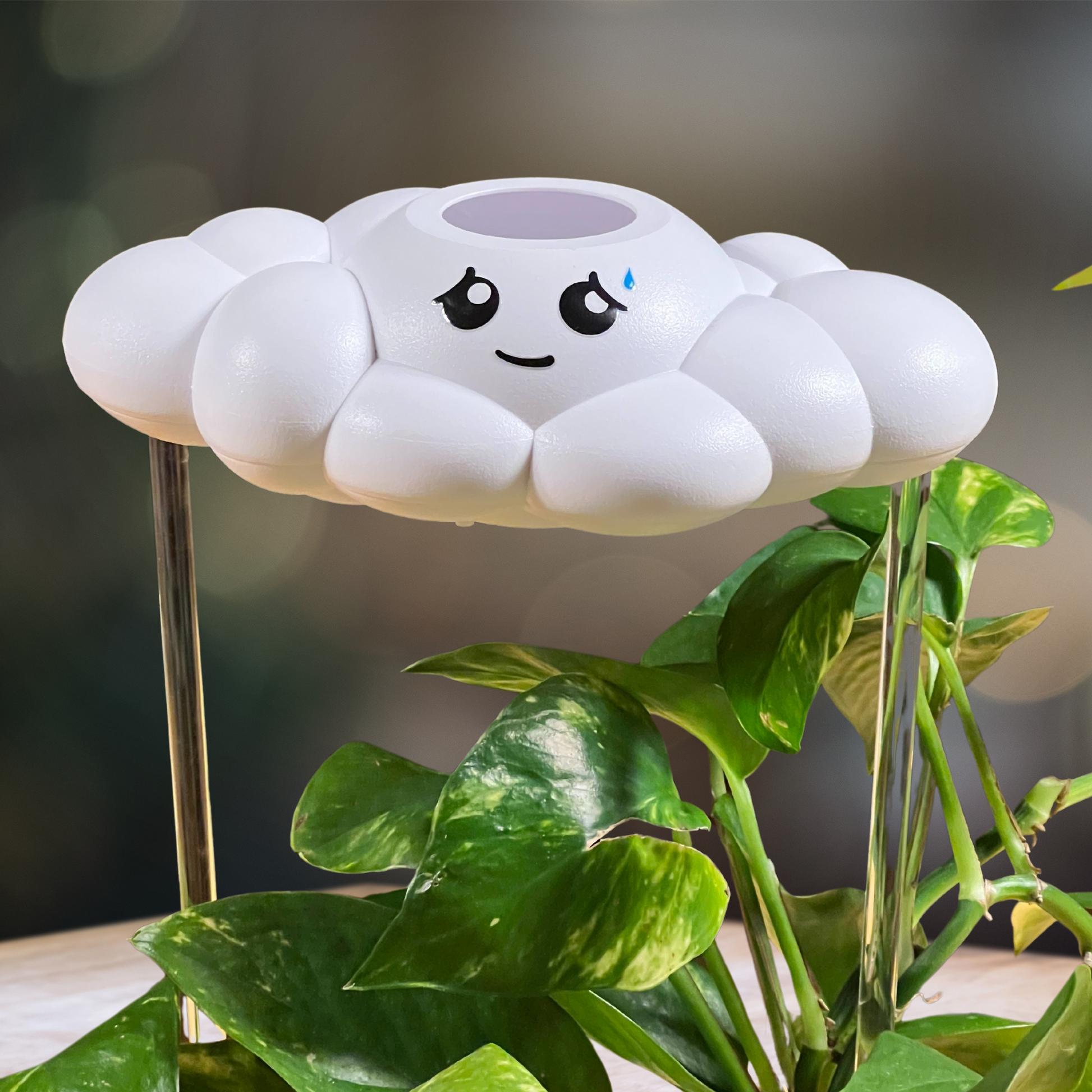 Cory the Cloud