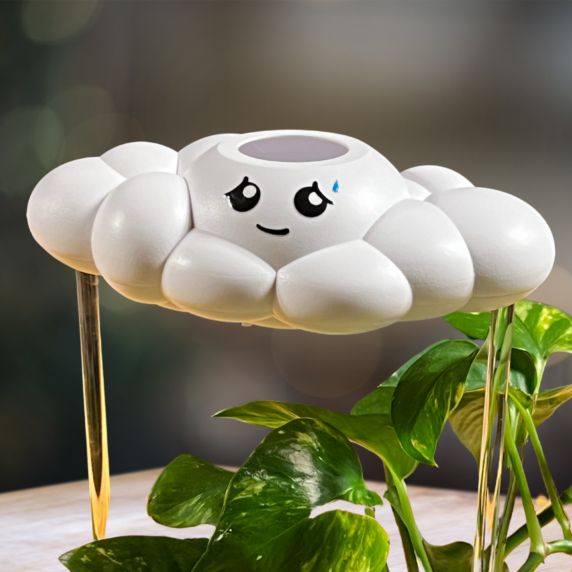 Cory the Cloud