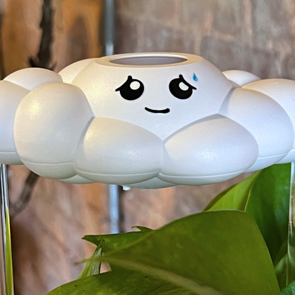 Cory the Cloud