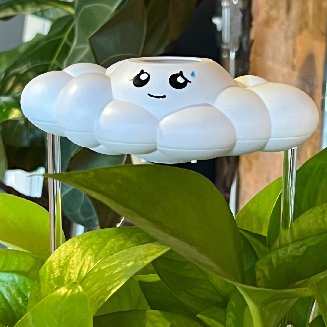 Cory the Cloud