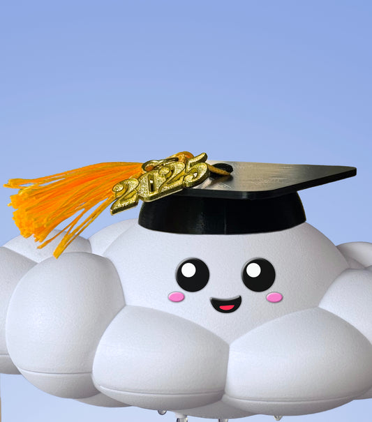 2025 Graduation Cap