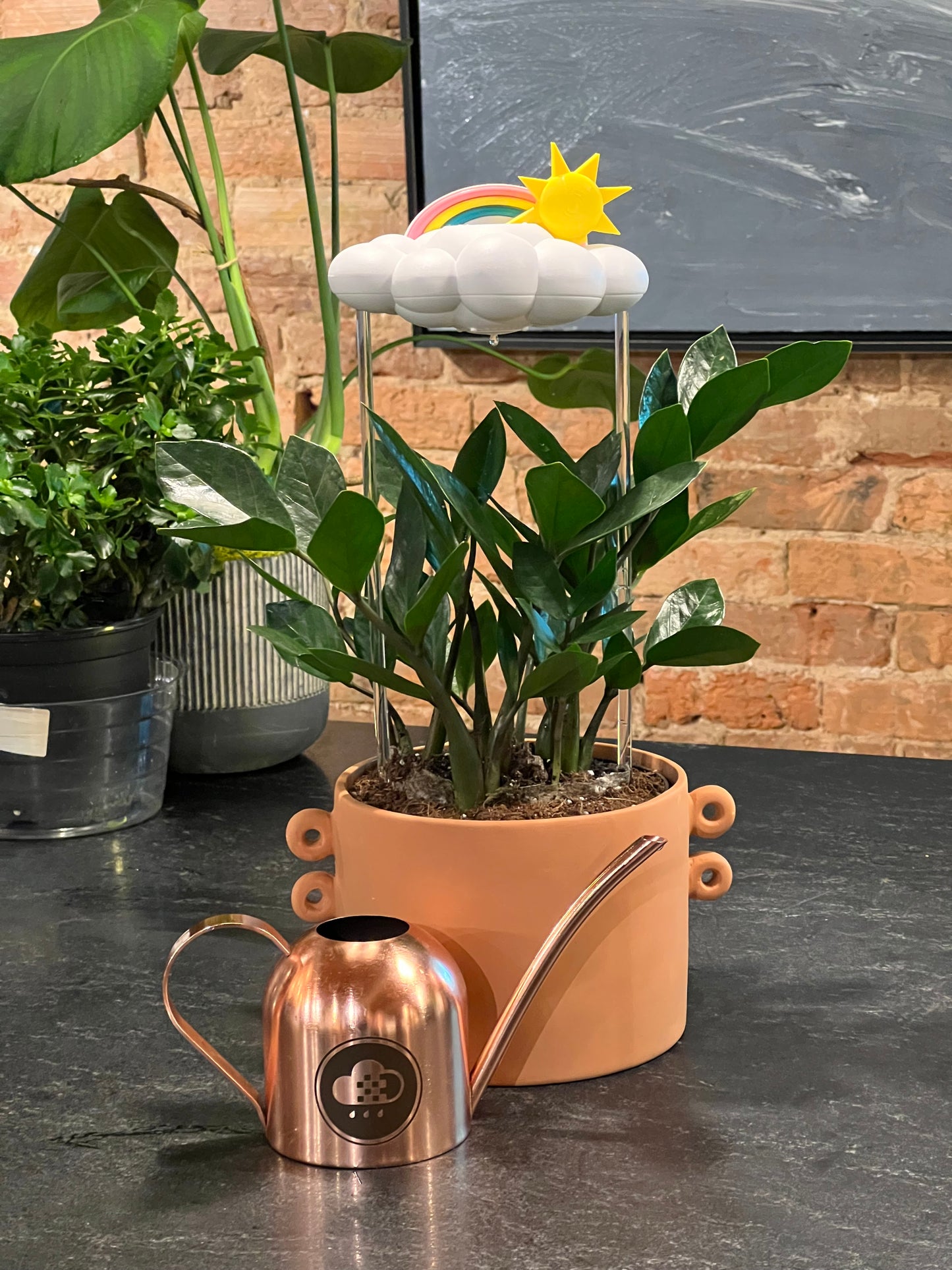 Watering Can