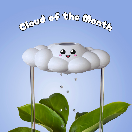 Skylar the Cloud