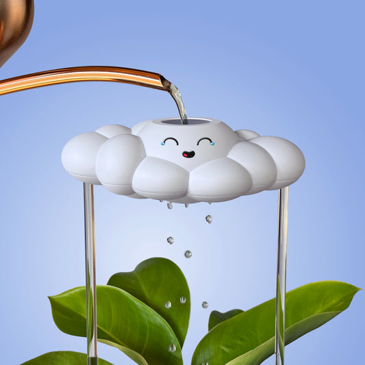 Misty the Cloud