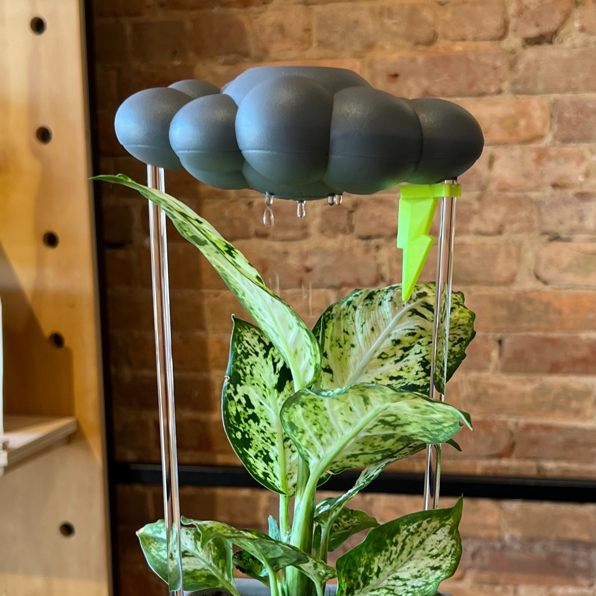 THE CLOUD MAKERS Stormy dripping raincloud for plants with neon lightning bolt charm