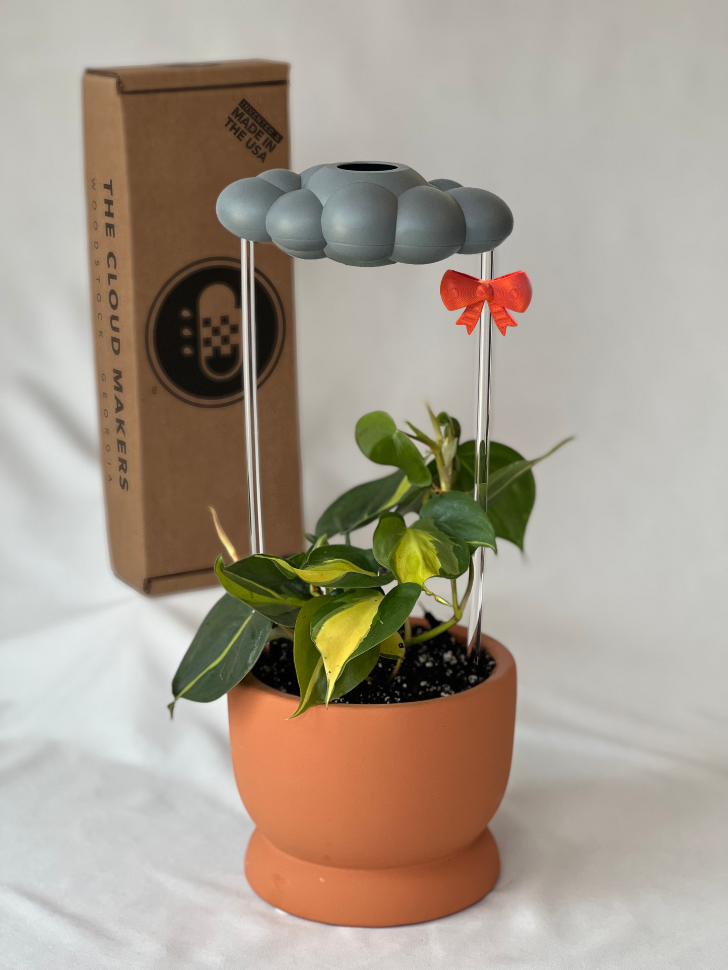 Stormy Dripping Rain Cloud with Bow Charm