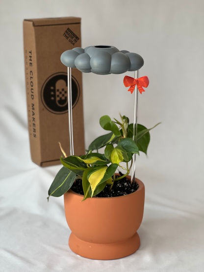Stormy Dripping Rain Cloud with Bow Charm
