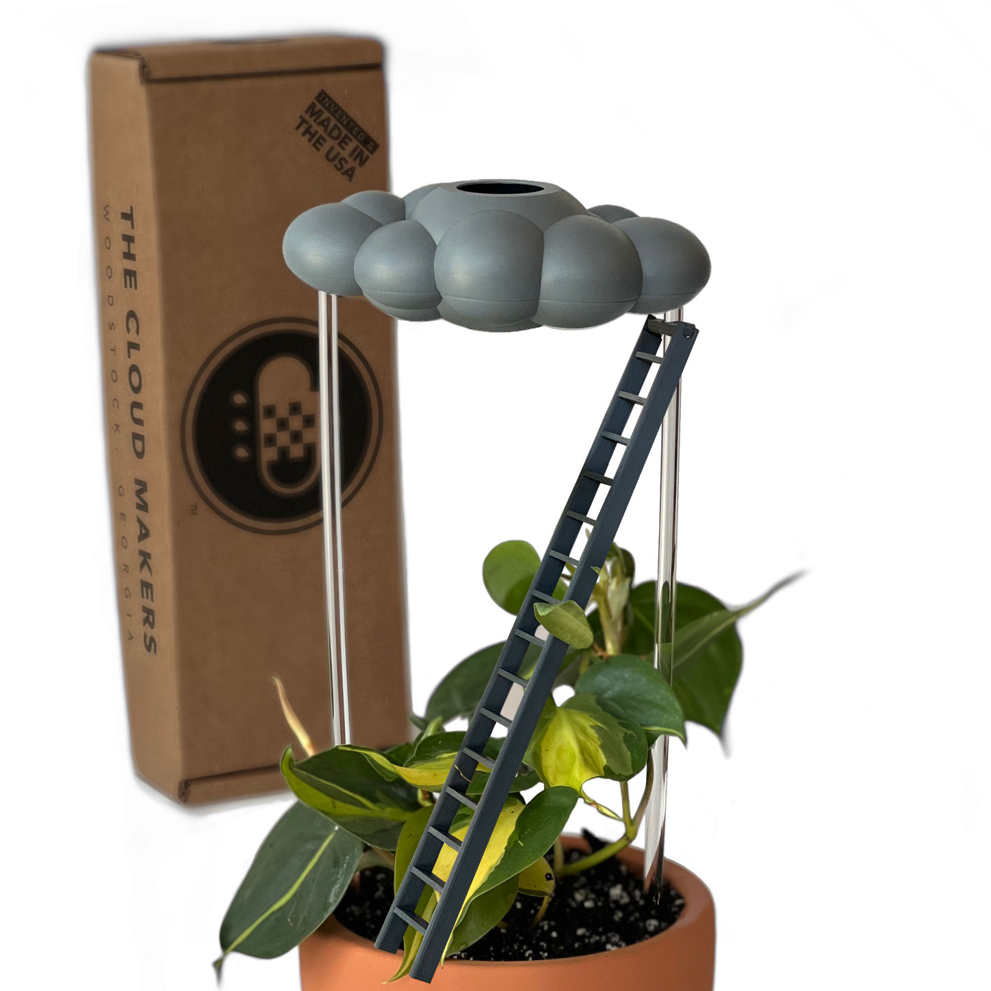 THE CLOUD MAKERS Stormy dripping raincloud for plants with ladder charm