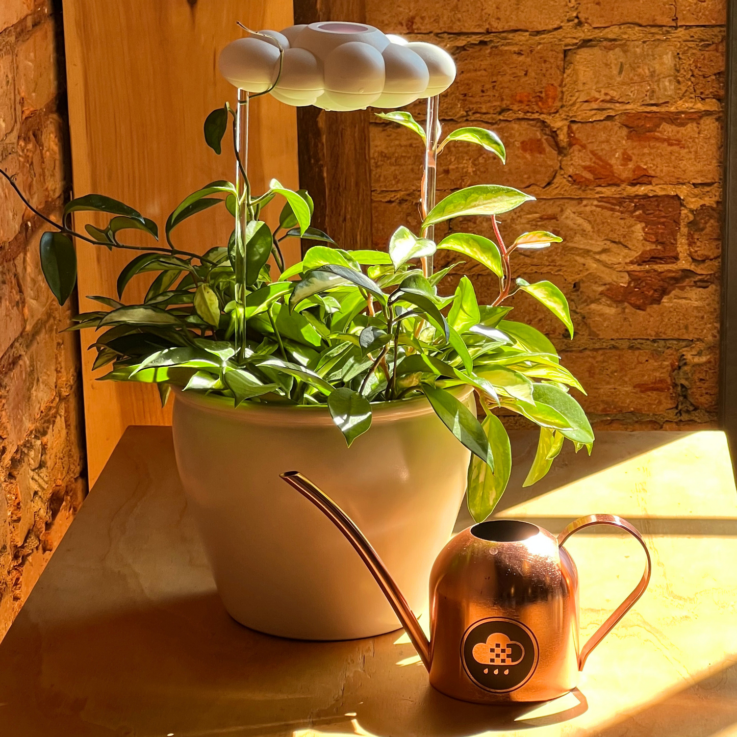 Cloud Makers Copper Watering Can