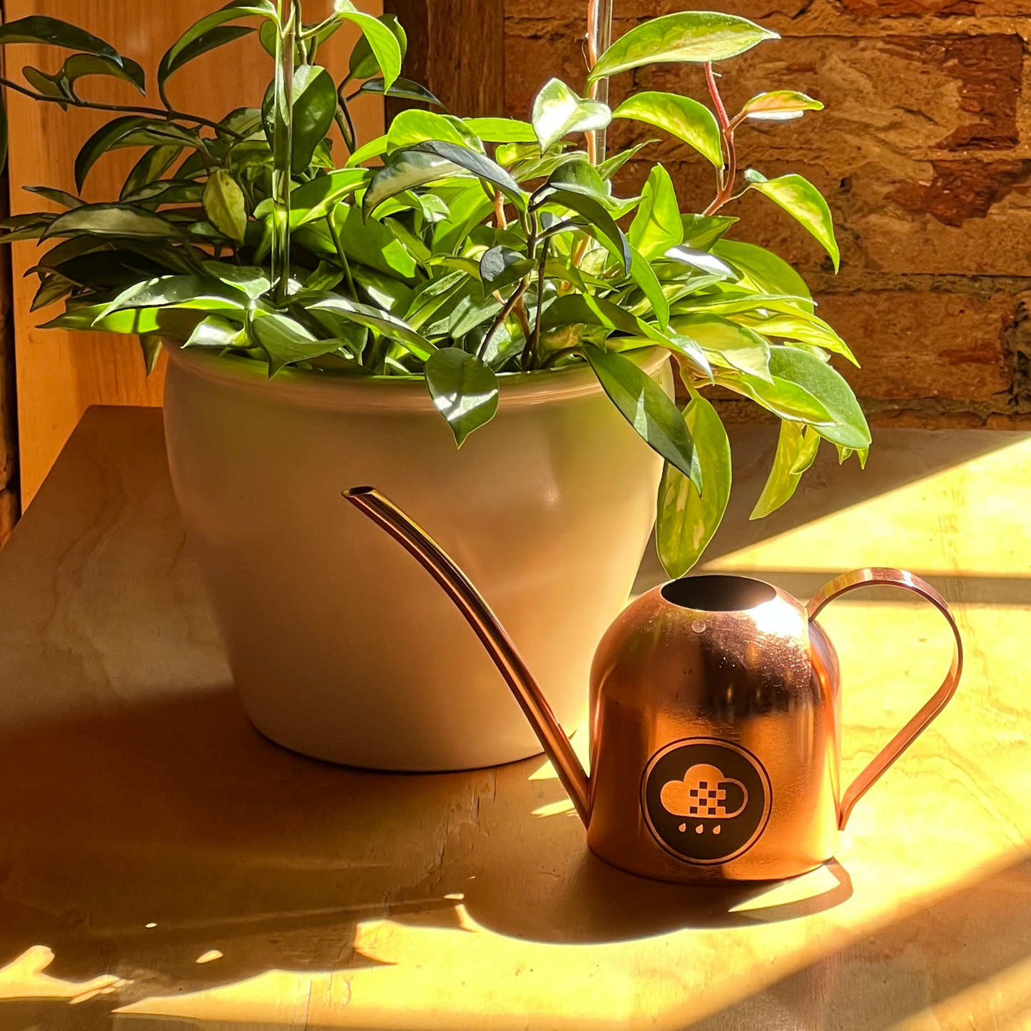 Cloud Makers Copper Watering Can