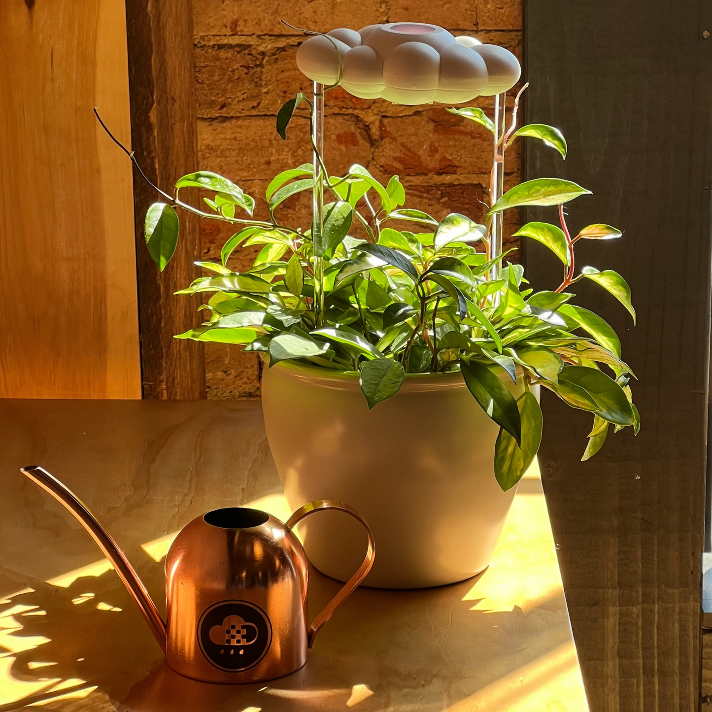 Cloud Makers Copper Watering Can