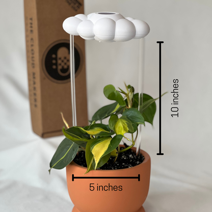 dripping rain cloud measurements 