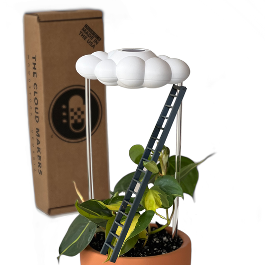 THE CLOUD MAKERS dripping raincloud for plants with ladder charm