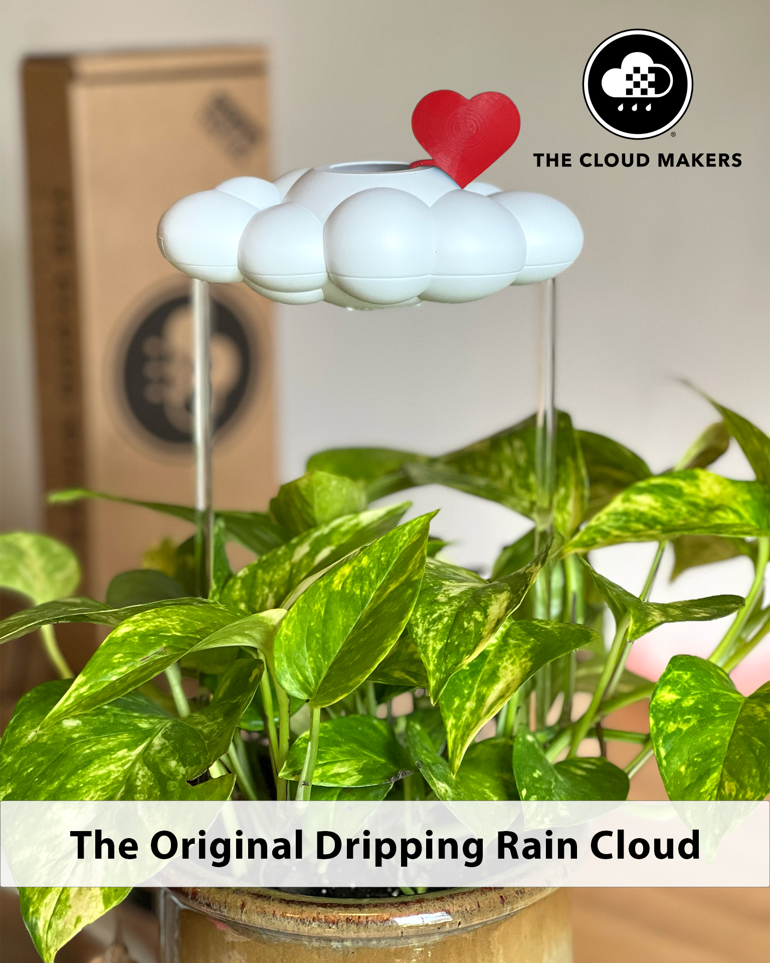 Original Dripping Rain Cloud with Red Heart