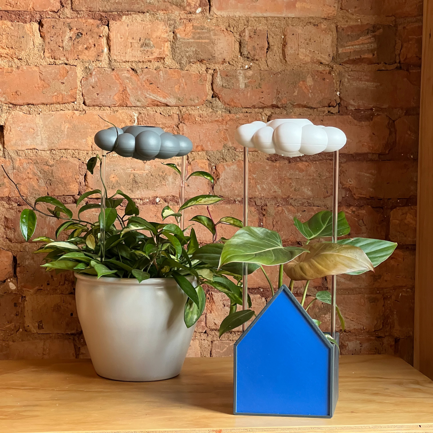 Blue House Planter