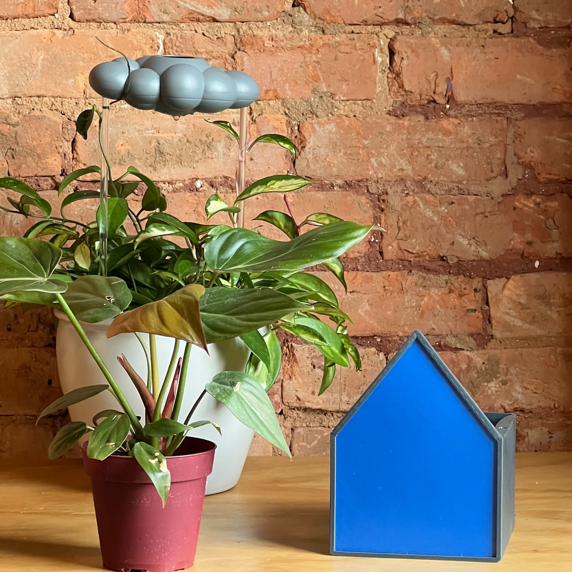 Blue House Planter